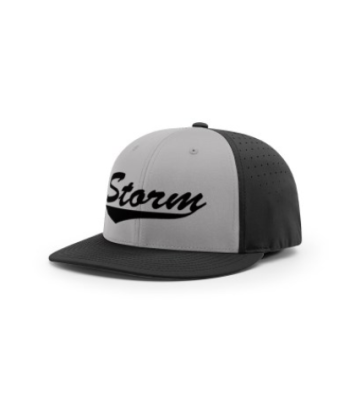 PTS30 Gray Black
