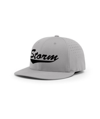 PTS30 Gray